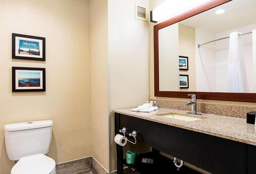 스탠다드 룸 킹사이즈 침대, Comfort Inn & Suites Pine Bluff
