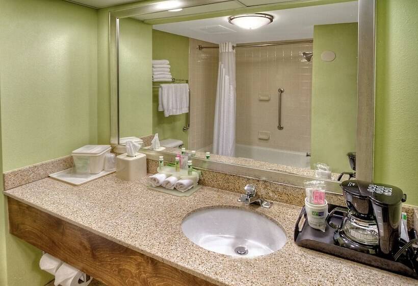Suíte, Holiday Inn Express Greenville, An Ihg
