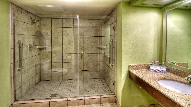 Номер Executive Кровать Кинг, Holiday Inn Express Greenville, An Ihg