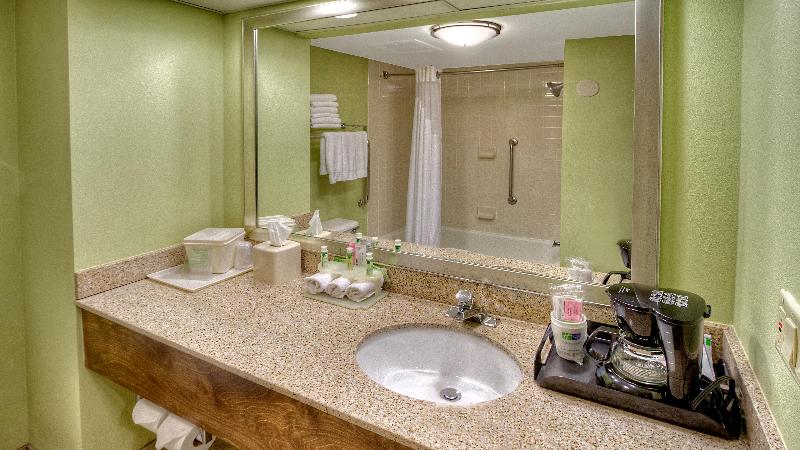 Номер Стандарт Кровать Кинг Адаптированный для Инвалидов, Holiday Inn Express Greenville, An Ihg