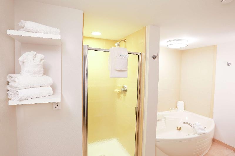 Люкс Кровать Кинг, Hampton Inn & Suites Tampawesley Chapel