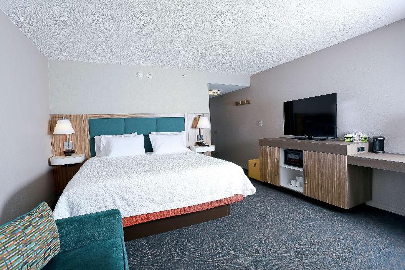 Стандартный Номер Кровать Кинг, Hampton Inn & Suites Tampawesley Chapel