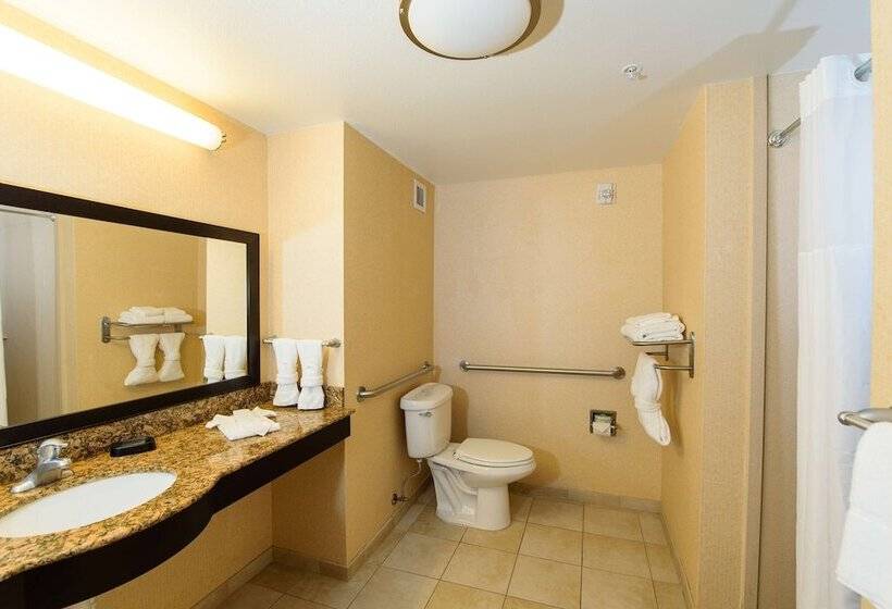 Номер Стандарт Адаптированный для Инвалидов, Hampton Inn & Suites Denver/highlands Ranch