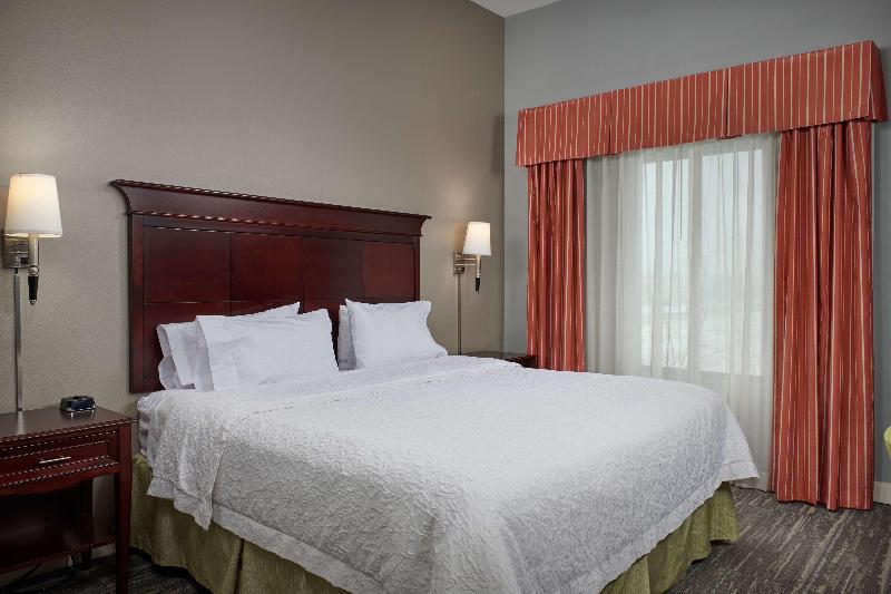 Студио Стандарт Кровать Кинг, Hampton Inn & Suites Denver/highlands Ranch