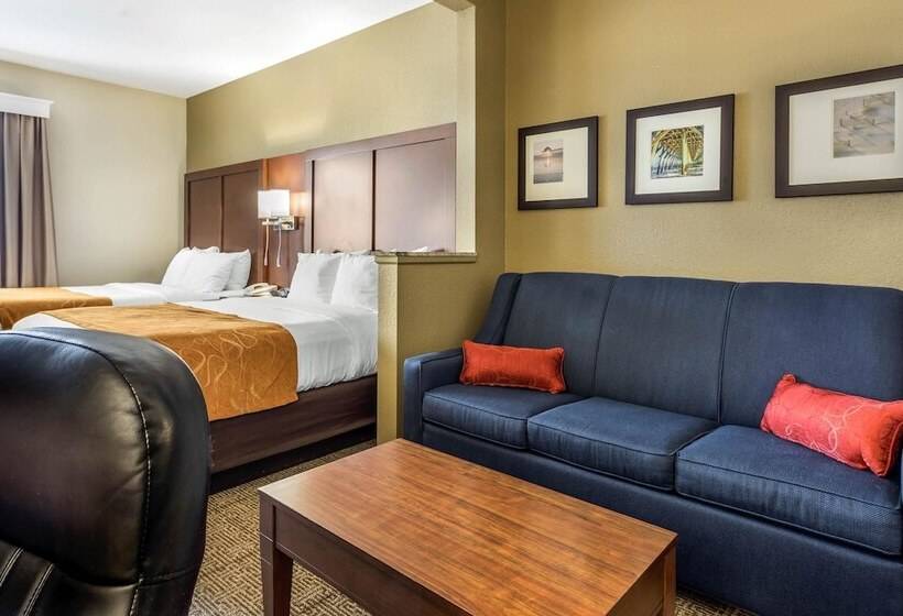 スイート, Comfort Suites At The University