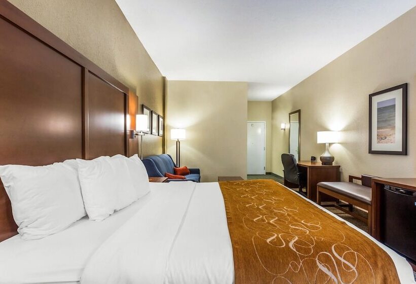 身障者適用スイートルーム, Comfort Suites At The University