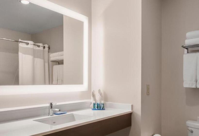 스탠다드 룸 킹사이즈 침대, Holiday Inn Express Hotel & Suites Newton Sparta, An Ihg