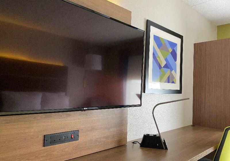 Стандартный Номер Кровать Кинг, Holiday Inn Express Hotel & Suites Fort Wayne, An Ihg