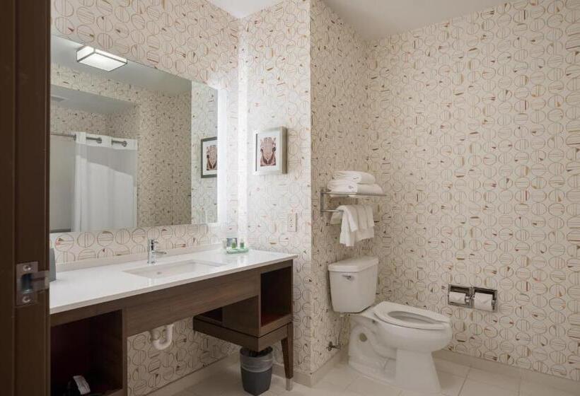 Стандартный Номер Кровать Кинг, Holiday Inn Jackson Nw   Airport Road, An Ihg