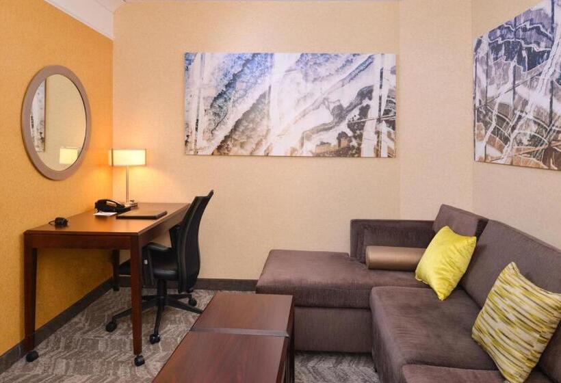Студио Стандарт Кровать Кинг, Springhill Suites Pittsburgh Mills