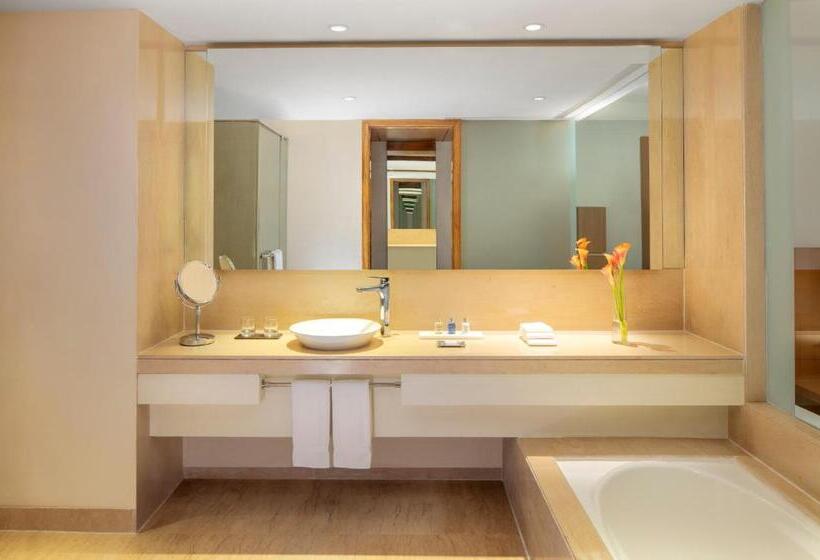 Люкс, Radisson Blu Plaza Hotel Hyderabad Banjara Hills