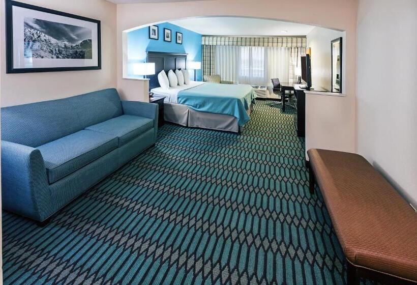 适合残疾人士使用的套间, Country Inn & Suites By Radisson, Lubbock, Tx