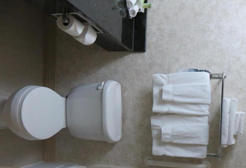 Люкс Кровать Кинг, Holiday Inn Hotel & Suites Lima, An Ihg