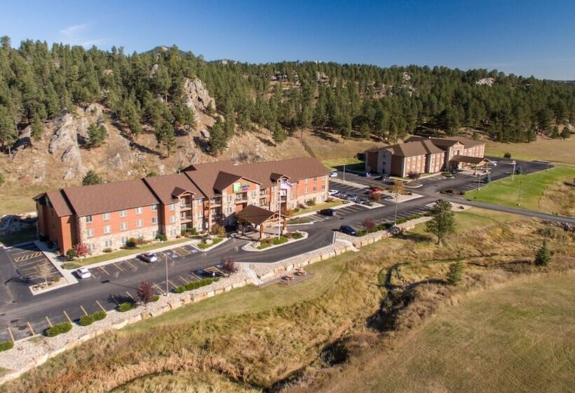 Номер Стандарт, Holiday Inn Express & Suites Custer Mt Rushmore