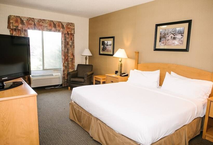 Люкс, Holiday Inn Express & Suites Custer Mt Rushmore