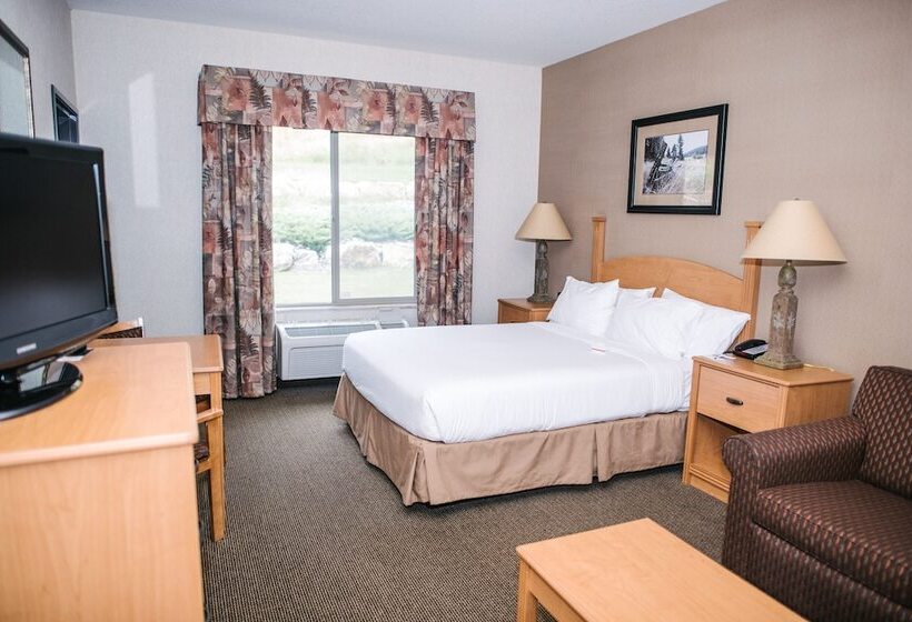 Люкс, Holiday Inn Express & Suites Custer Mt Rushmore