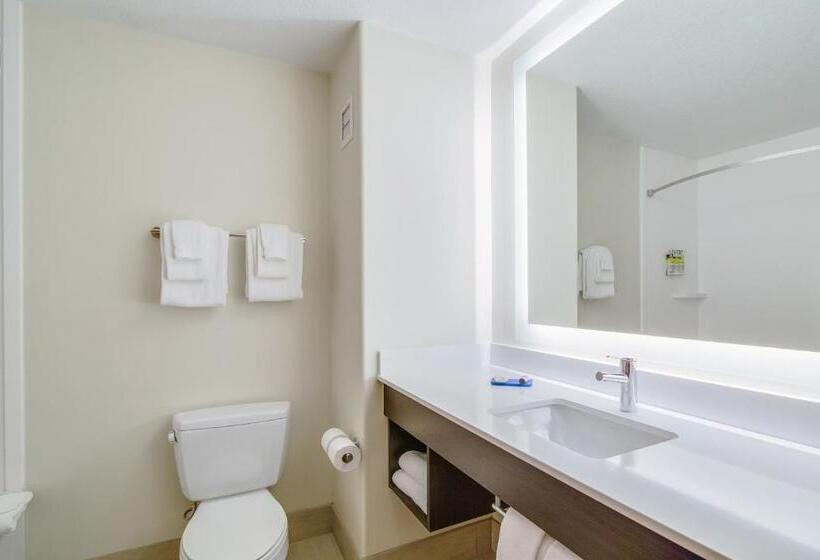 Люкс Кровать Кинг, Holiday Inn Express & Suites Custer Mt Rushmore
