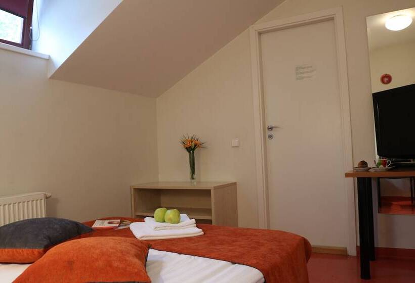 اتاق استاندارد با سرویس بهداشتی مشترک, Apple Economy Hotel