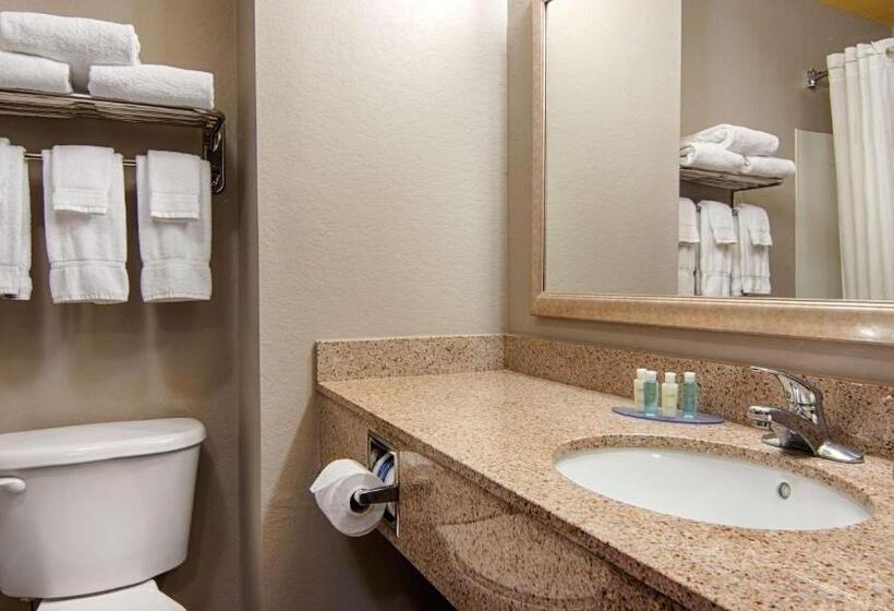 장애인을 위한 킹사이즈 침대 스탠다드 룸, Best Western Auburndale Inn & Suites