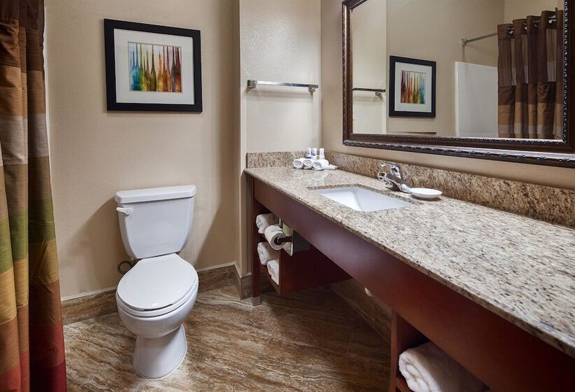 Номер Стандарт, Best Western Plus Monahans Inn And Suites