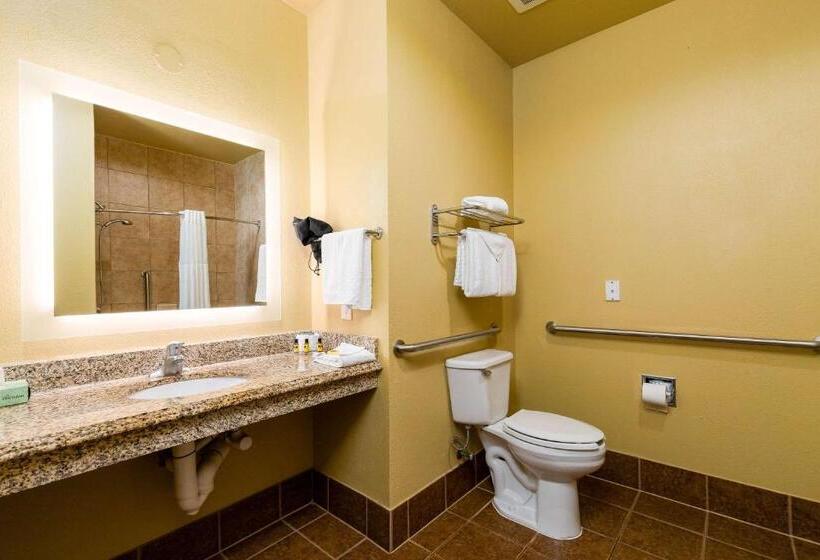 장애인을 위한 킹사이즈 침대 스탠다드 룸, Best Western Plus Portland