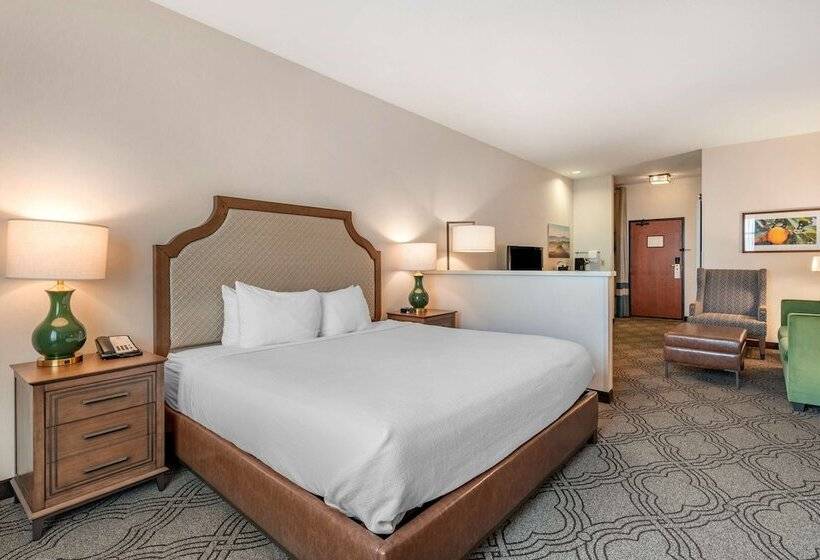 Люкс Адаптированный для Инвалидов, Best Western Premier Pasco Inn And Suites