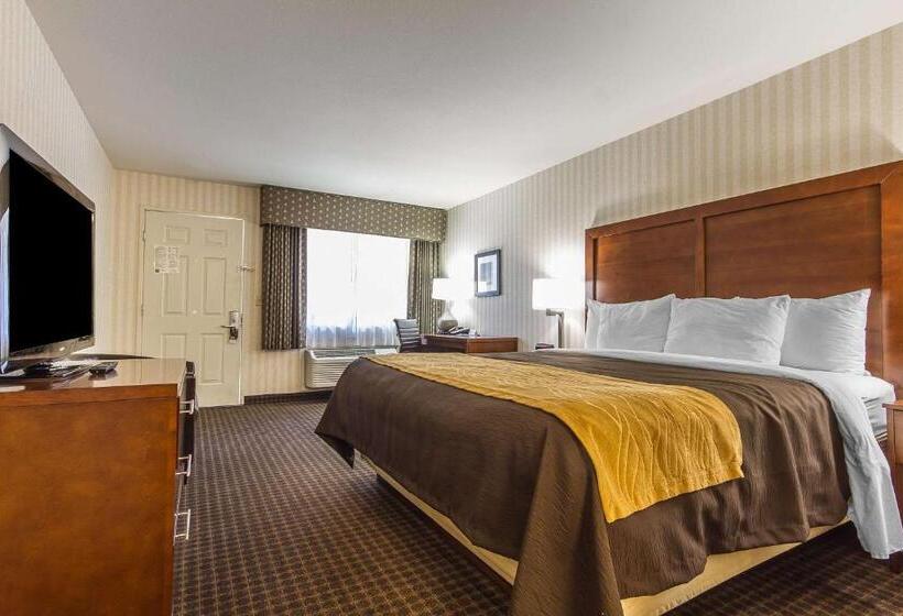 스탠다드 룸 킹사이즈 침대, Quality Inn Half Moon Bay Miramar Beach