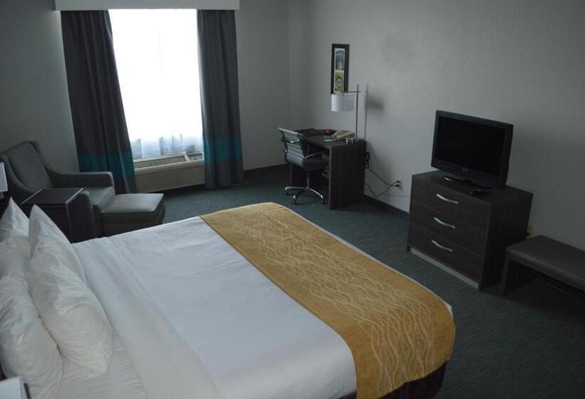 Стандартный Номер Кровать Кинг, Comfort Inn & Suites Selma Near Randolph Afb
