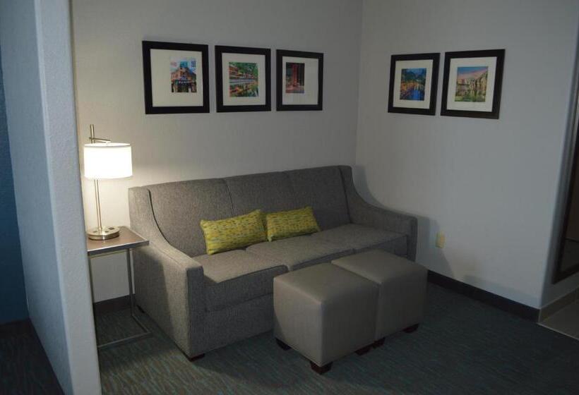Люкс Кровать Кинг, Comfort Inn & Suites Selma Near Randolph Afb