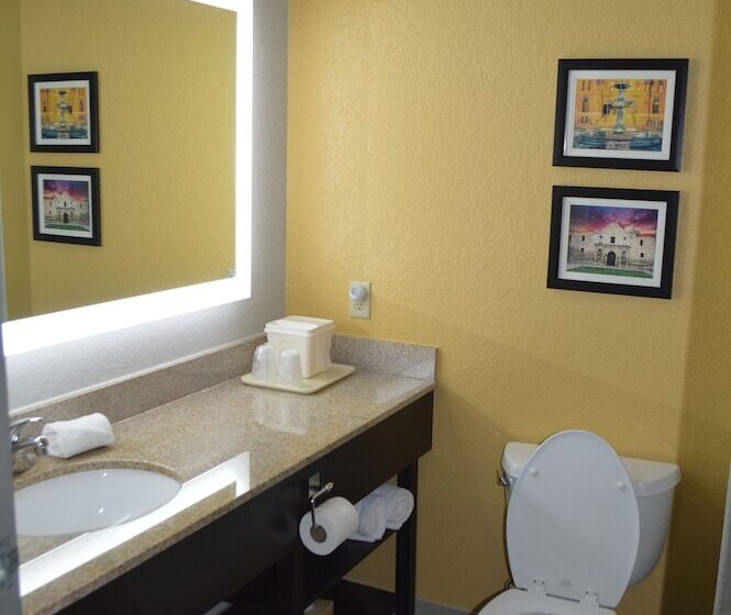 Люкс Адаптированный для Инвалидов, Comfort Inn & Suites Selma Near Randolph Afb
