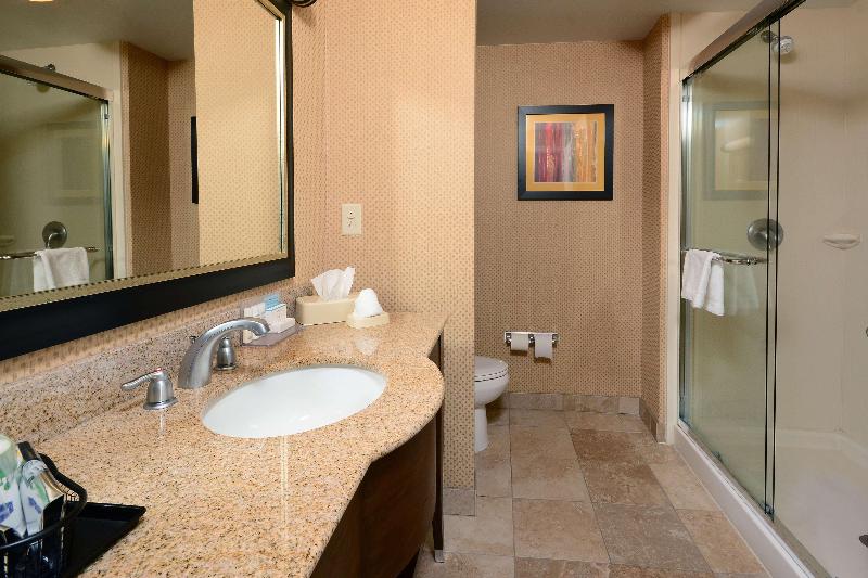 Standardzimmer Kingsize Bett, Hampton Inn & Suites Durham/north I85