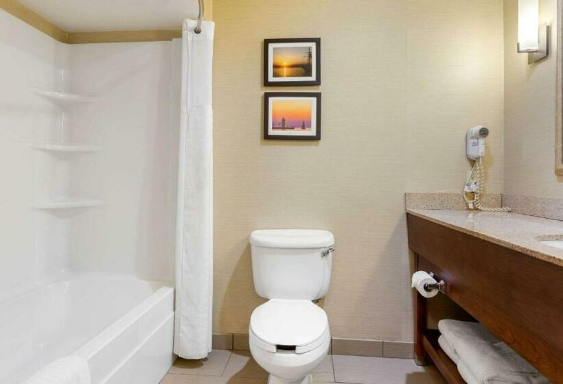 带大床的套房, Comfort Suites South Haven Near I96