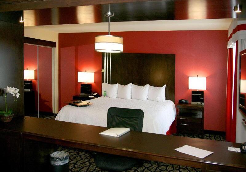 Студио Стандарт Кровать Кинг, Hampton Inn & Suites Salt Lake City University/foothill Dr