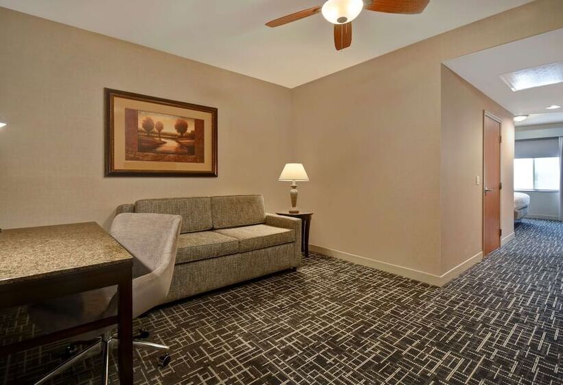 장애인을 위한 스탠다드 룸, Hilton Garden Inn Twin Falls