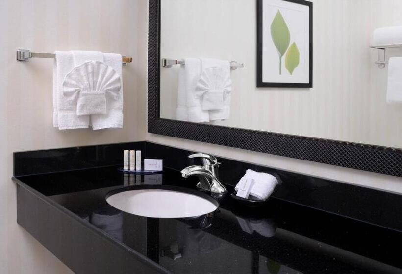 Студио Стандарт Кровать Кинг, Fairfield Inn & Suites By Marriott Dallas Plano The Colony