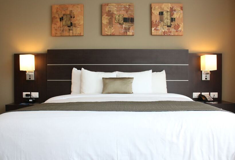 패밀리 룸, Tryp By Wyndham Panama Centro