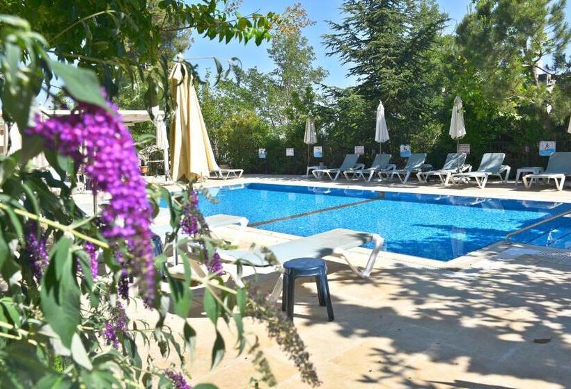 Классический Номер, Villa Galilee Boutique Hotel And Spa