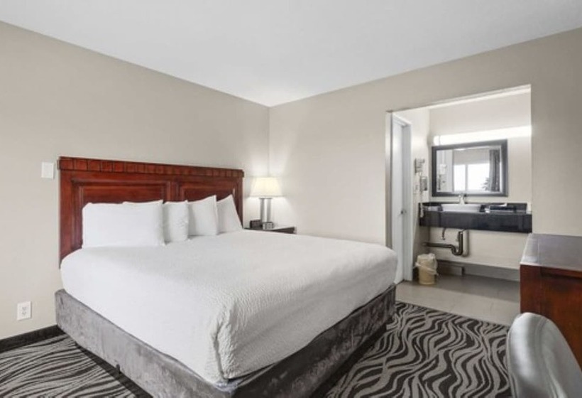Номер Стандарт, Astoria Rivershore Motel