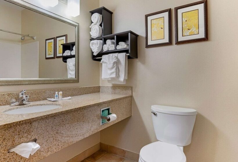 Люкс с гидромассажем, Comfort Suites Southfield Detroit