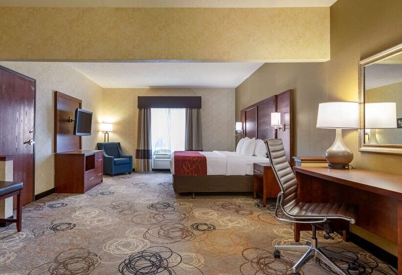 Люкс Адаптированный для Инвалидов, Comfort Suites Southfield Detroit