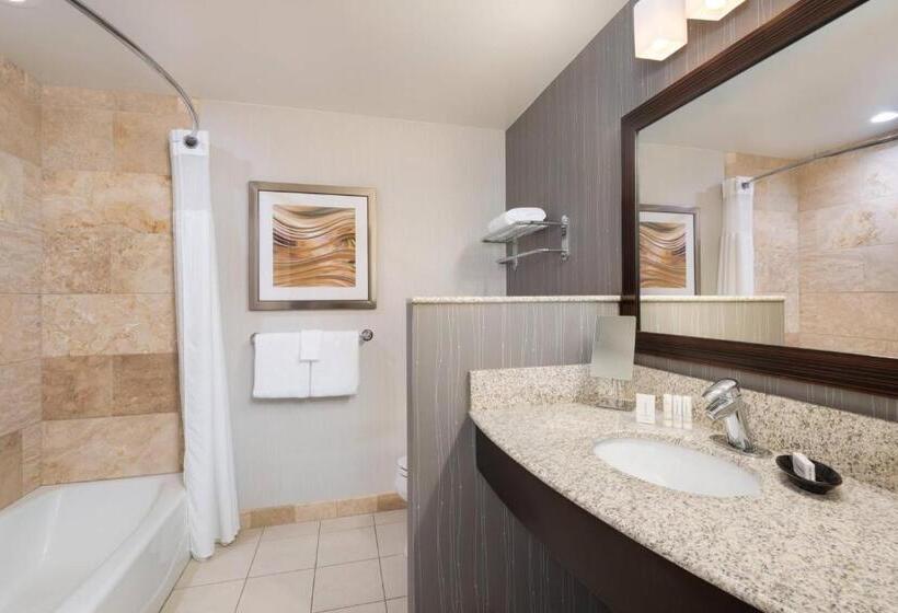 带大床的标准工作室, Courtyard By Marriott Pittsburgh Washington Meadow Lands