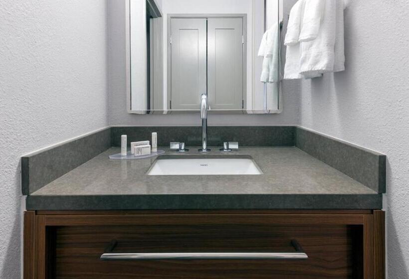 장애인을 위한 스탠다드 룸, Courtyard Tallahassee North/i10 Capital Circle
