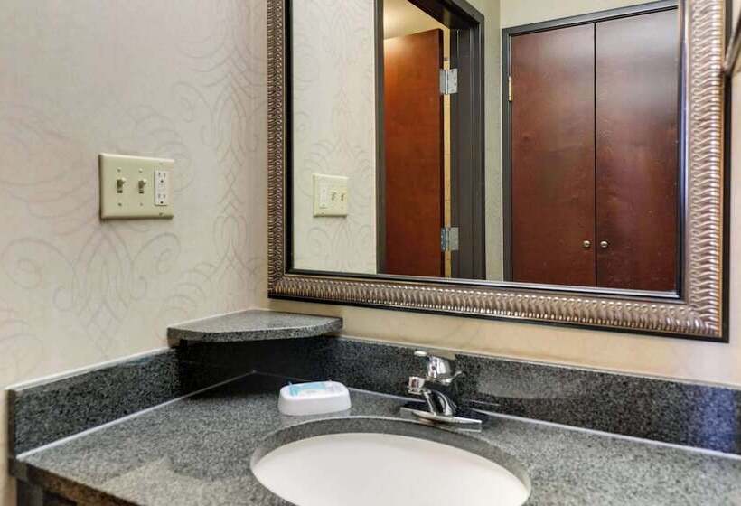 디럭스 룸, Drury Plaza Hotel New Orleans