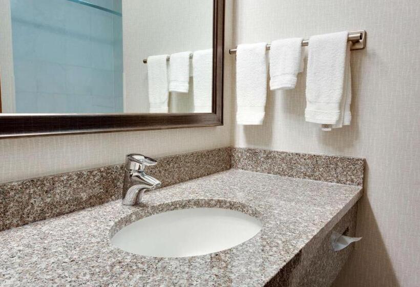 חדר סופריור, Drury Inn & Suites Greenville