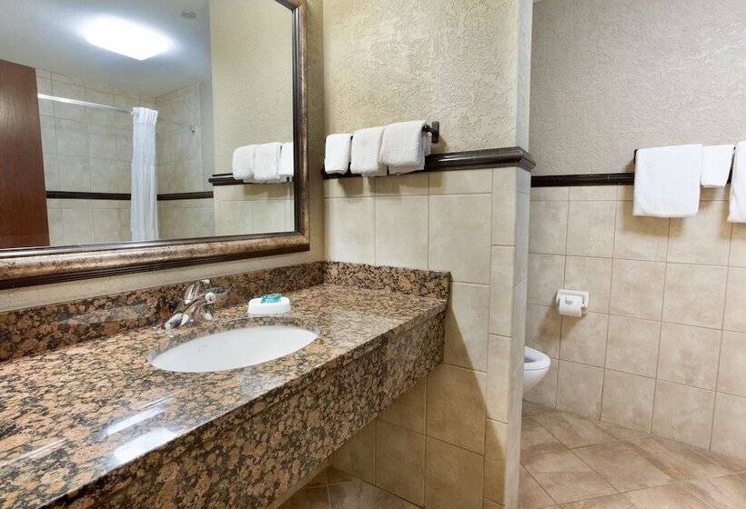 Люкс с Террасой, Drury Inn & Suites Flagstaff