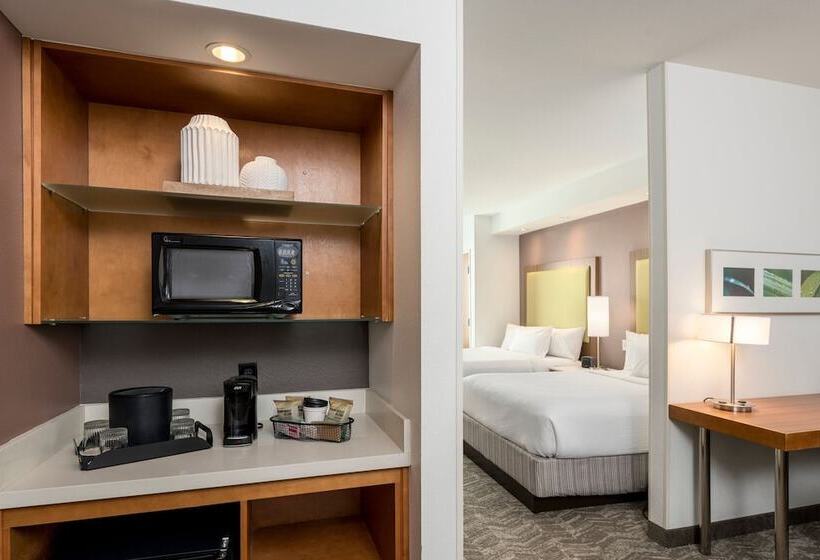 Студия Стандарт, Springhill Suites By Marriott Lafayette South At River Ranch