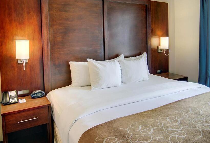 Люкс Кровать Кинг, Comfort Suites Texarkana Arkansas