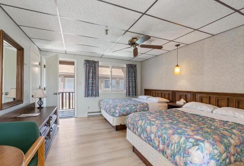 Номер Стандарт, The Carolina Motel