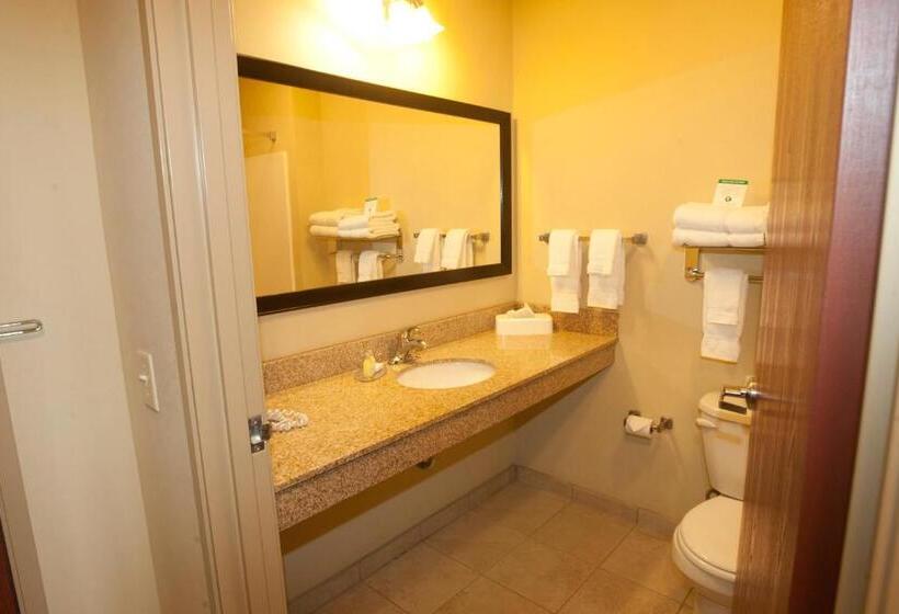 Номер Стандарт, Cobblestone Inn & Suites  Carrington