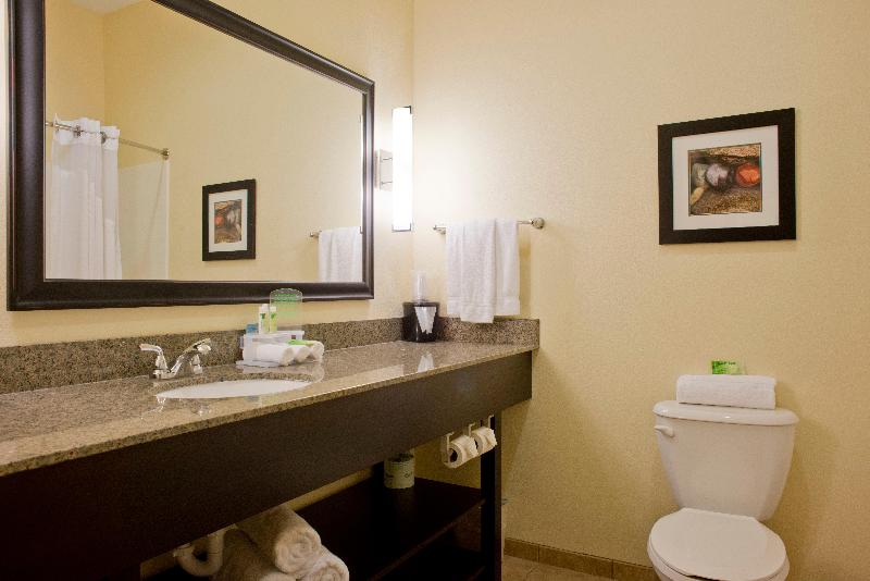 스위트 킹사이즈 침대, Holiday Inn Express Hotel & Suites Prattville South, An Ihg